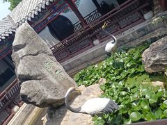-戏马台景区