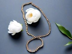 -珠江新城海滨花园