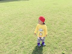 -前小桔亲子创意农场·草莓采摘·露营烧烤