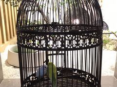 -云中漫步·足疗养生会馆(金开店)