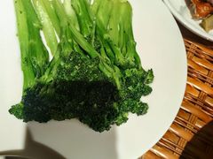 -老广酒楼(樱花店)