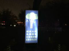 -枫花园汽车电影院(朝阳公园店)