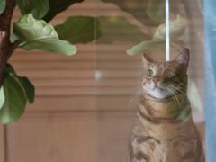 -Me Coffee下午茶艺术空间