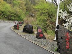 -天女山森林公园