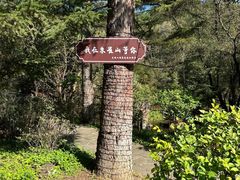 -吉林市朱雀山国家森林公园