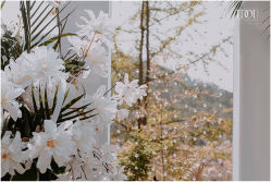 -IDOI婚礼策划·IDOIWEDDING