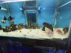 -荆州中山公园动物园