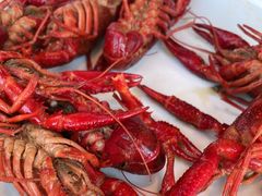 -嘉定凯悦·咖啡厅