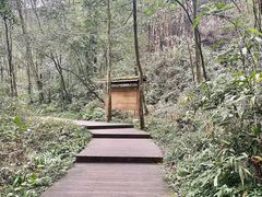 -青城山