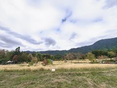 -塔川景区