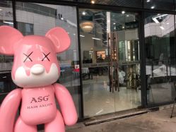 -ASG Hair Salon烫染·接发