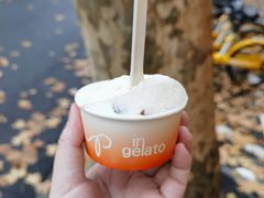 -Dip in Gelato(富民路店)