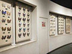 -陕西自然博物馆