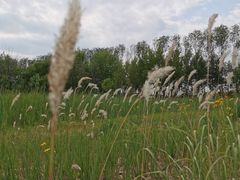 -东郊湿地公园