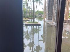-亚龙湾希尔顿自助餐厅·海鲜·烧烤·沙滩BBQ·现场乐队