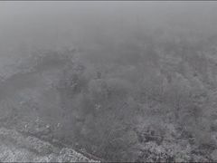-秦岭风景区