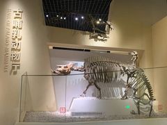 -国家自然博物馆