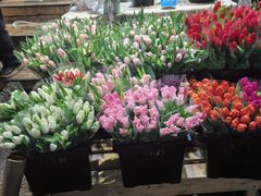 -循礼门鲜花花市(武汉循礼门店)