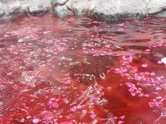 -湖泉半山温泉