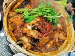 鸡鸡蛙蛙中煲-川香煲(茅台路店)