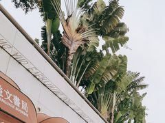 -老碗会·陕西手工面(中心书城店)