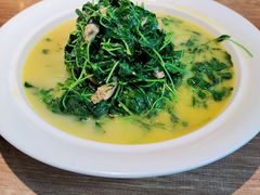 河蚌秧草-周家二小姐的菜(西津渡店)