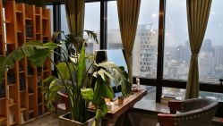 -V-STAR威斯达•高级私人定制