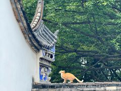 -乌山风景区