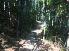 -井冈山风景名胜区-黄洋界