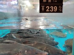 -艳阳天·非遗楚菜(武汉客厅店)