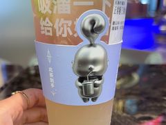 -TD66高山铁皮石斛养生茶饮