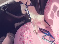 -喵汪宠物生活馆(涞坊路店)