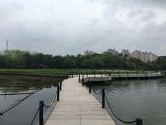 -广东科学中心科技影院