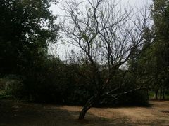 -艾溪湖湿地公园