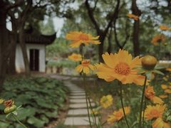 -寒山寺