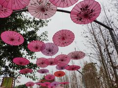 -两江国际影视城