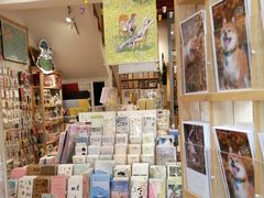 -猫的天空之城概念书店(苏州平江店)