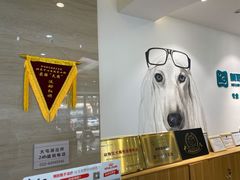 -美联众合动物医院·24h转诊中心