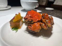 -觀芷隐轩