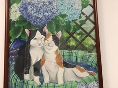 -北京赛佳动物医院