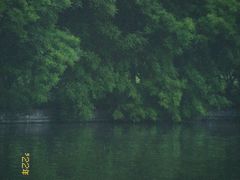 -森林公园(尖草坪区)