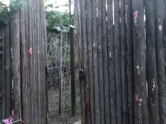 -南窖乡水峪村山情农家