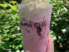 -MAMACHA妈妈茶(岳麓山店)