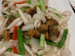 -新南华大酒店(广中店)