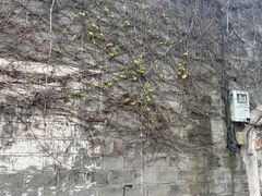 -东钱湖小普陀景区