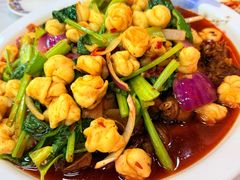 -马旭土鸡焖花卷新疆菜大盘鸡·真域顺西域美食(天马大道店)