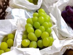 -马陆小张葡萄园农家乐