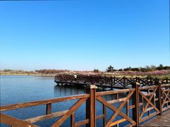 -上海海湾国家森林公园