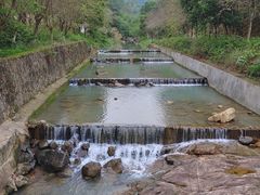 -广州白江湖森林公园