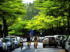 -广东工业大学(大学城校区)